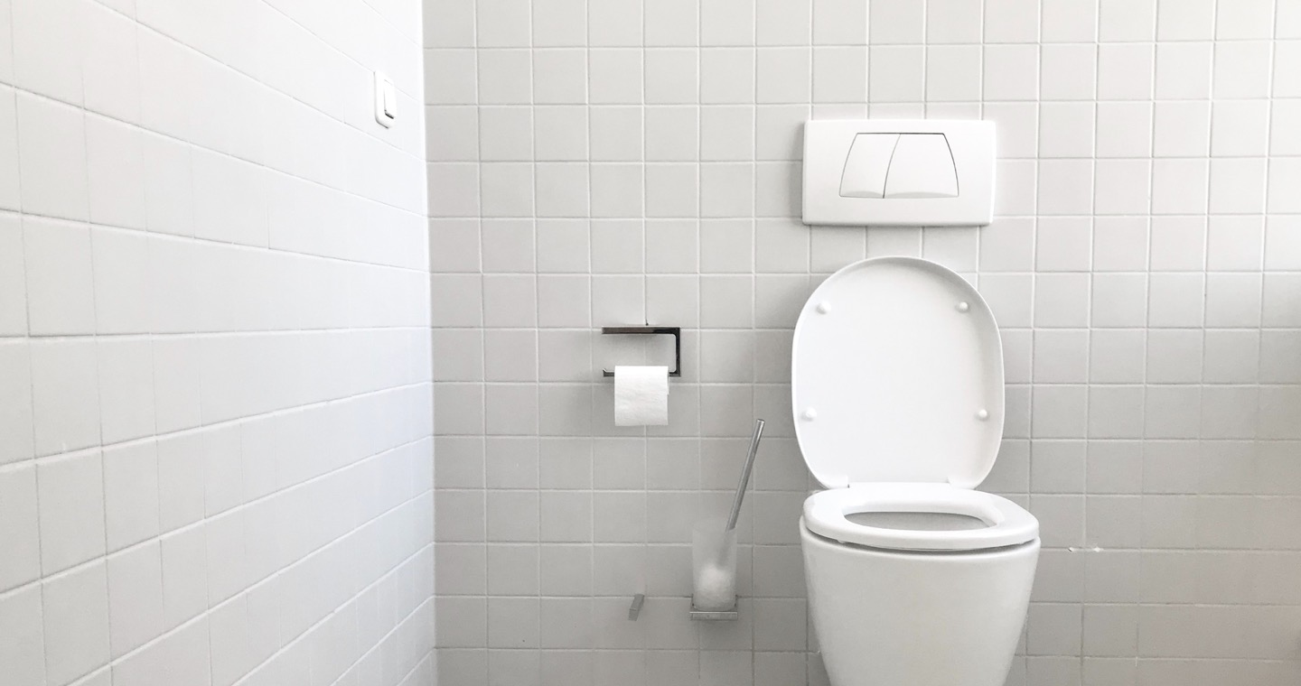 Case Study: Toilet Sector
