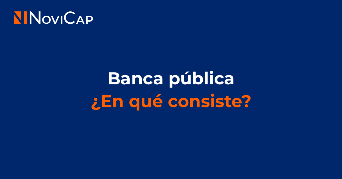 Banca pública, ¿En qué consiste?
